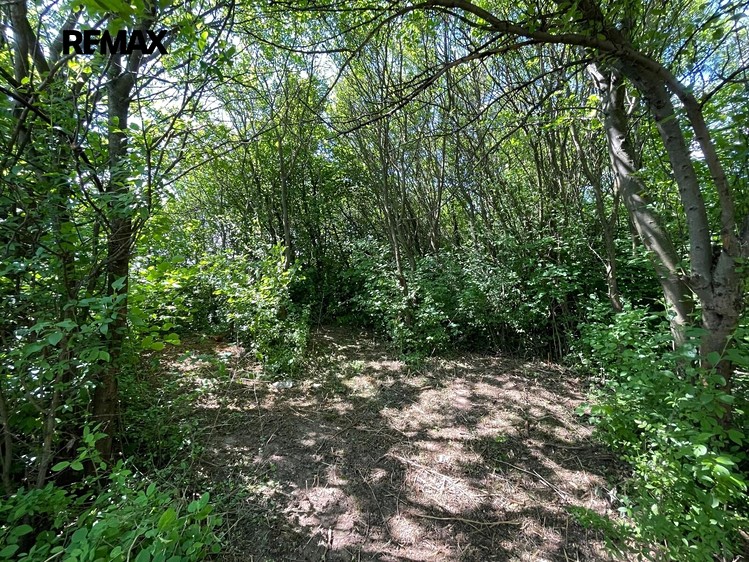 Grundstück zur Miete, 851 m² (12 von 16)