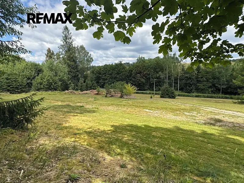 Prodej stavebního pozemku 990 m², Borušov – náhled fotky 3