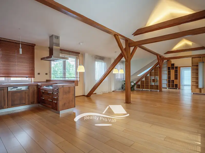 Prodej bytu 4+kk 198 m², Brno – náhled fotky 3
