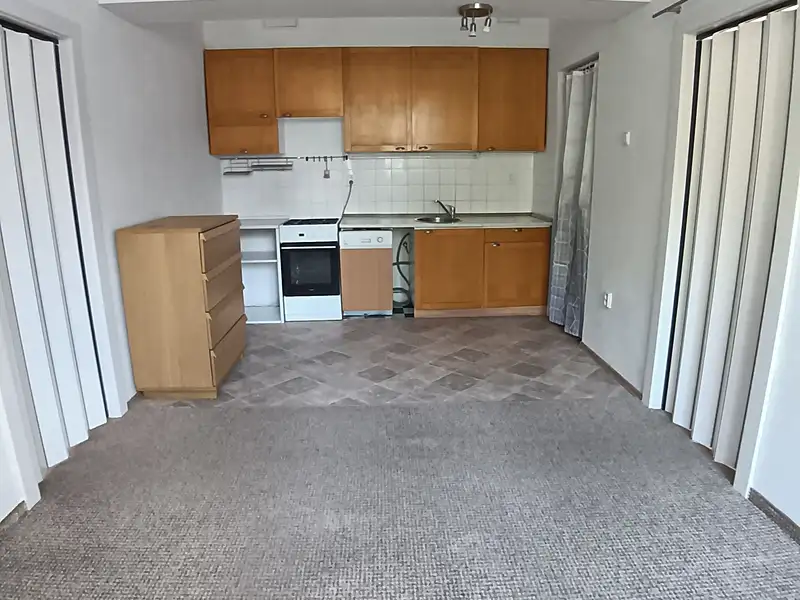 Prodej bytu 1+1 47 m², Hradec Králové – náhled fotky 3