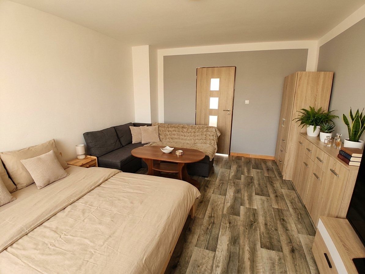 Pronájem bytu 1+1 40 m²