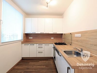Pronájem bytu 1+1 37 m²