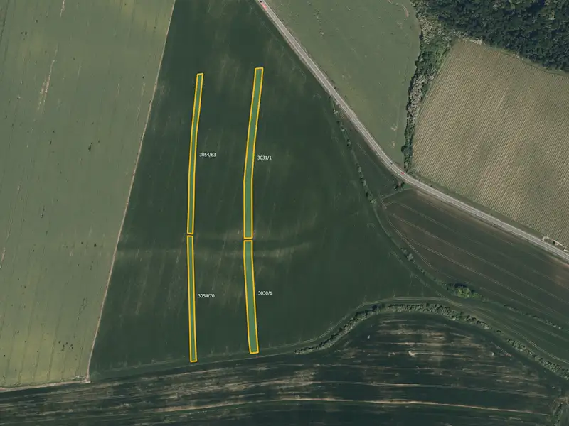 Prodej pole 9675 m², Sobůlky – náhled fotky 2