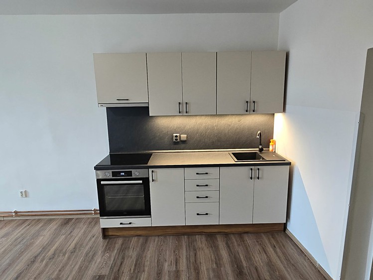 Wohnung 1+kk zur Miete, 38 m² (2 von 5)