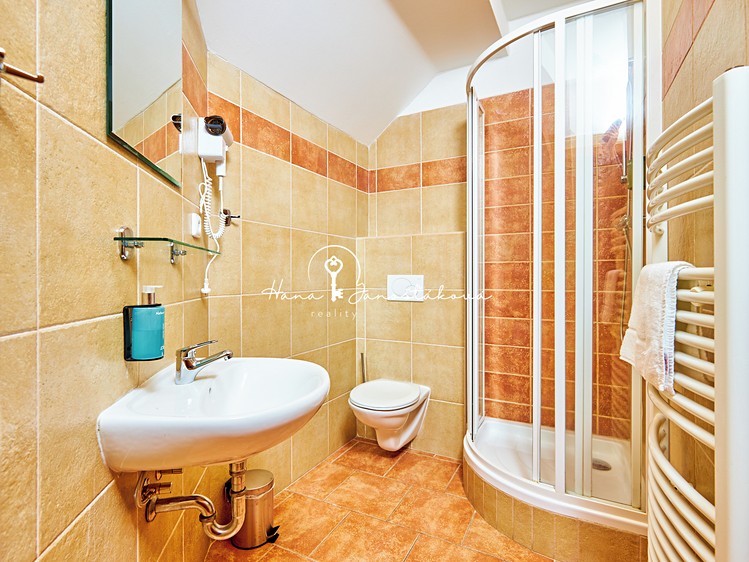 Prodej komerčního prostoru, 270 m² (10 z 28)