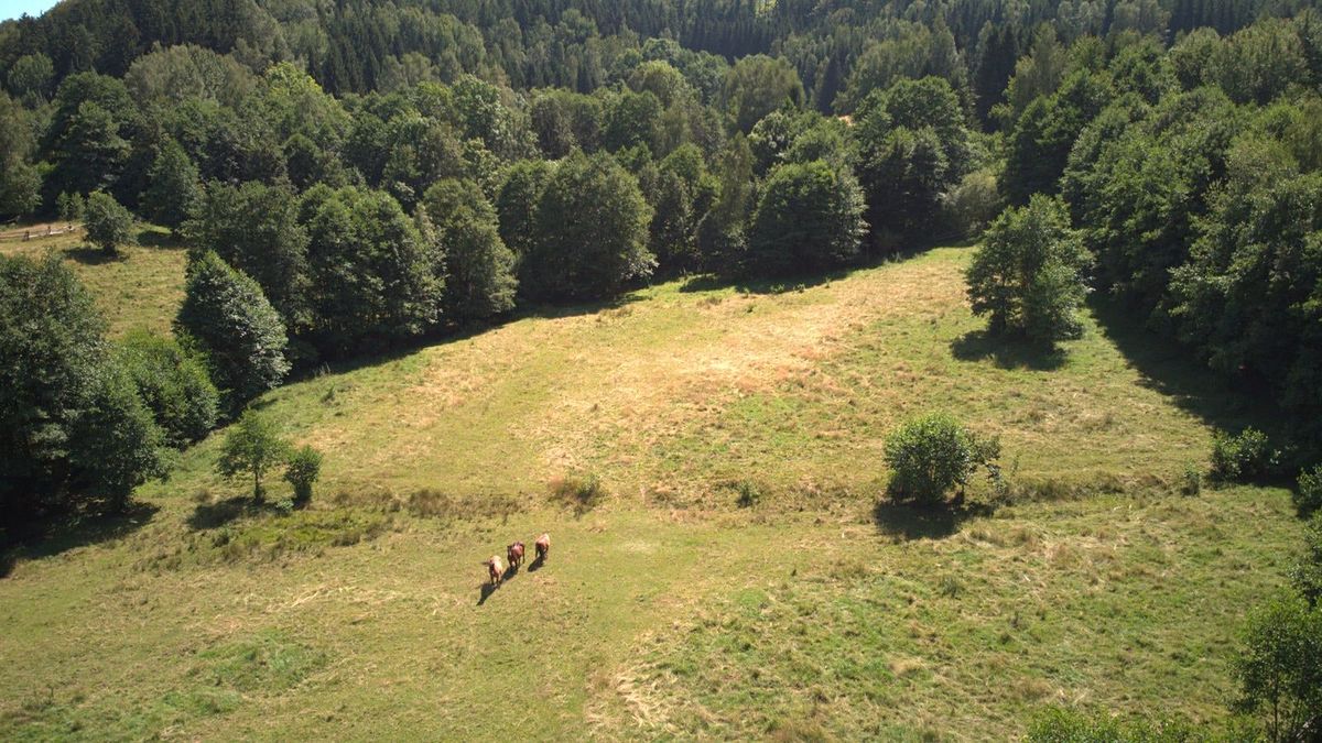 Prodej stavebního pozemku 3446 m² – fotografie 3