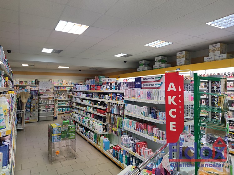 Prodej domu, 400 m² (6 z 26)