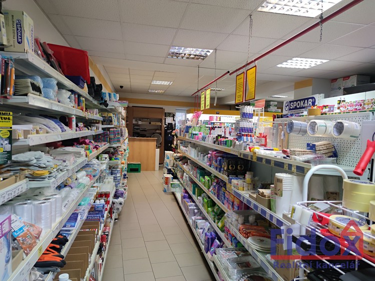 Prodej domu, 400 m² (9 z 26)