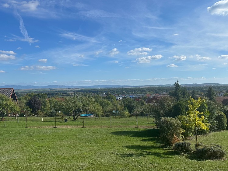 Grundstück zum Kauf, 850 m² (5 von 7)