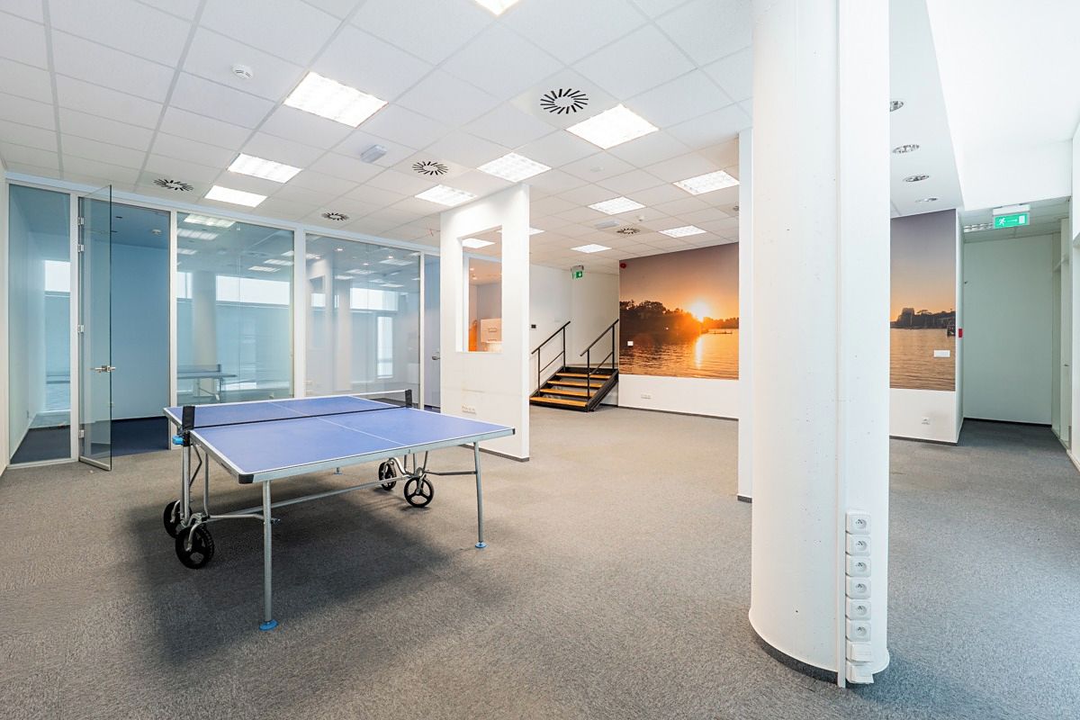 Pronájem obchodního prostoru 290 m² – fotografie 3