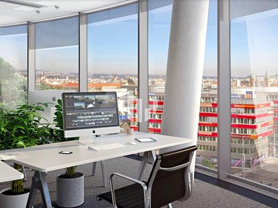 Pronájem komerčního prostoru, 265 m² (3 z 10)