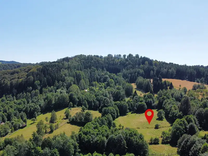 Prodej stavebního pozemku 3027 m², Olešnice v Orlických horách – náhled fotky 1