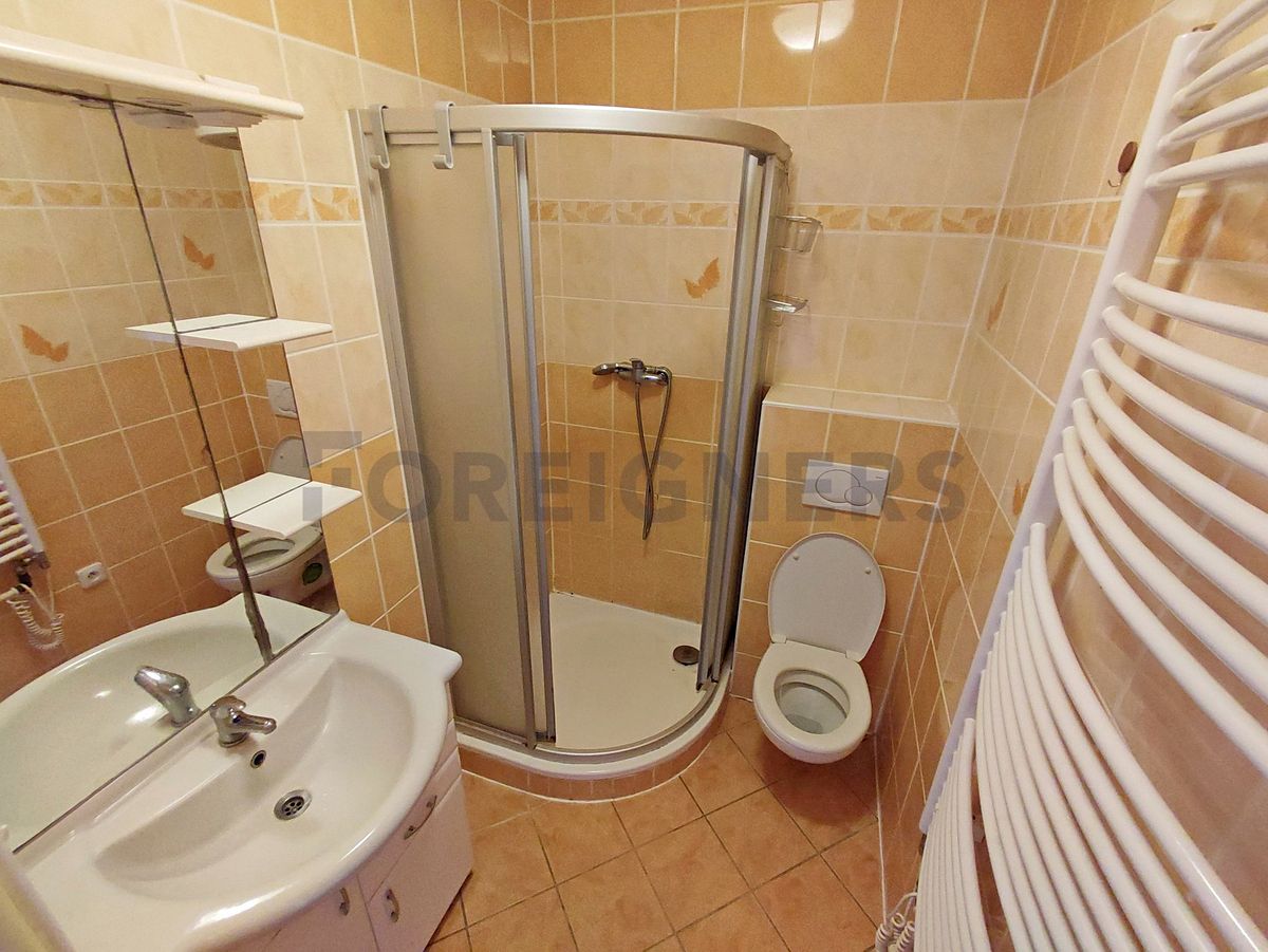 Pronájem bytu 2+1 65 m² – fotografie 4