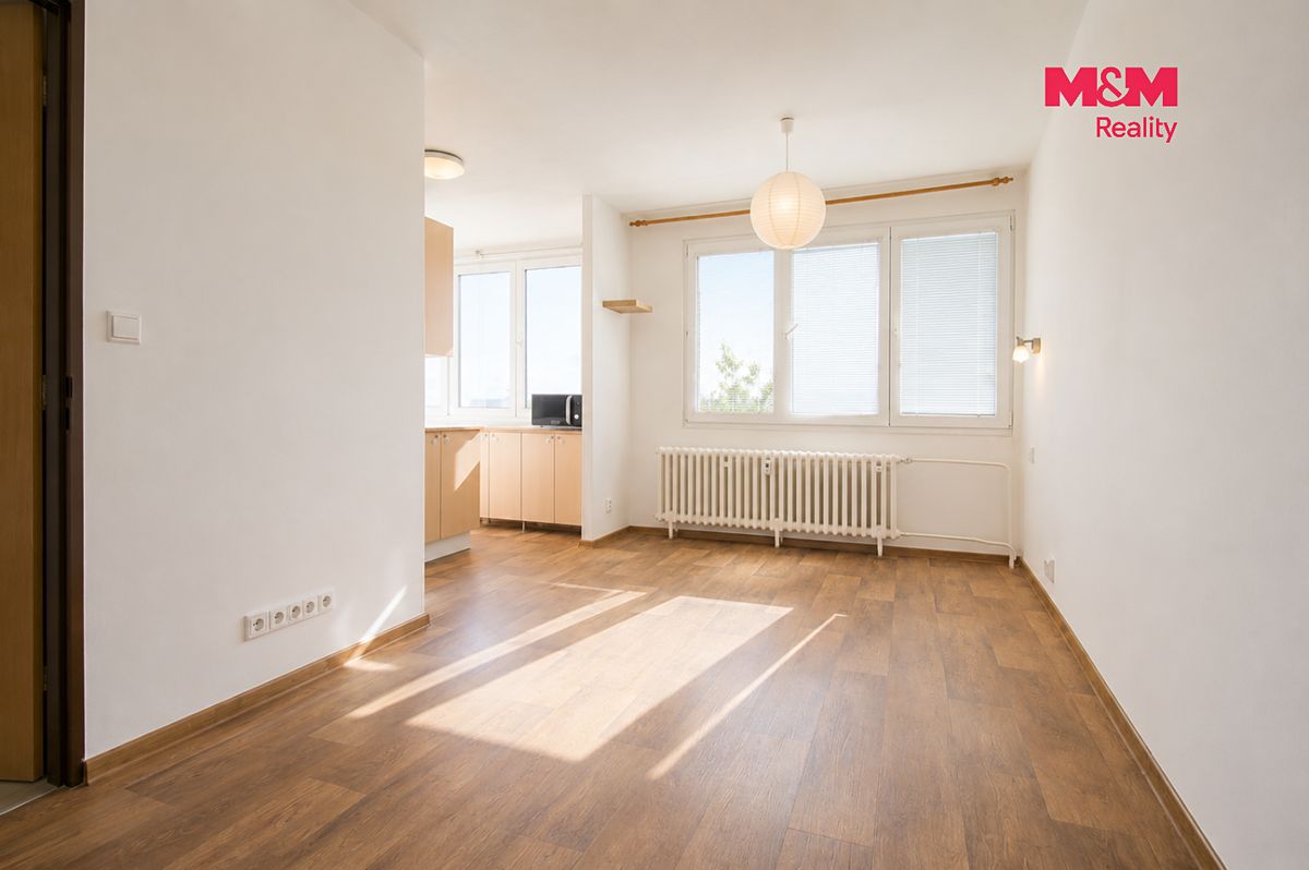 Pronájem bytu 3+kk 60 m² – fotografie 3