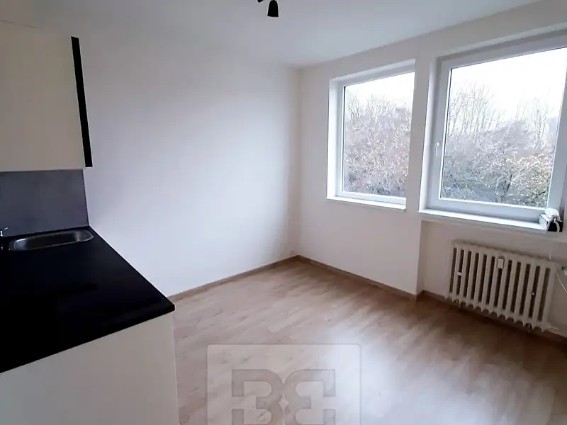 Pronájem bytu 1+kk 17 m², Praha – náhled fotky 1