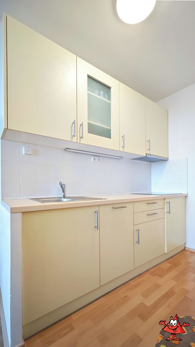 Pronájem bytu 2+kk 42 m² – fotografie 4