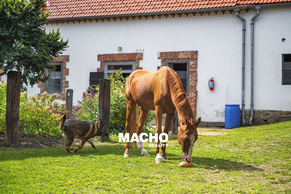 Prodej zemědělské usedlosti 181 m², pozemek 314134 m² – fotografie 5