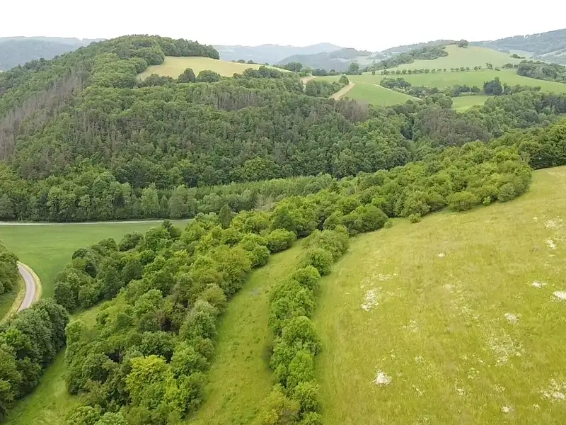 Dražba louky 6028 m², Skorotice – náhled fotky 2
