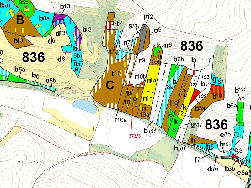 Dražba lesa 7060 m², Přílepy – náhled fotky 3