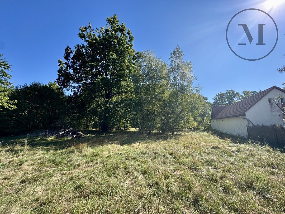 Prodej stavebního pozemku 2630 m² – fotografie 4