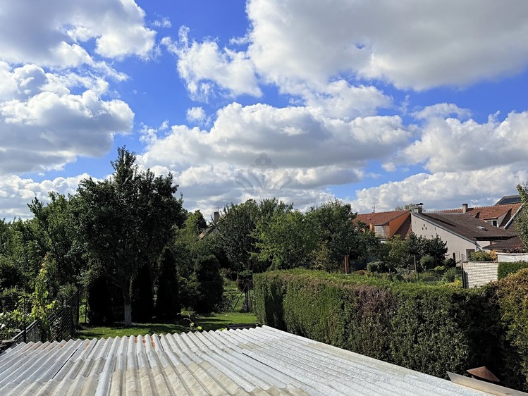 Ostatní