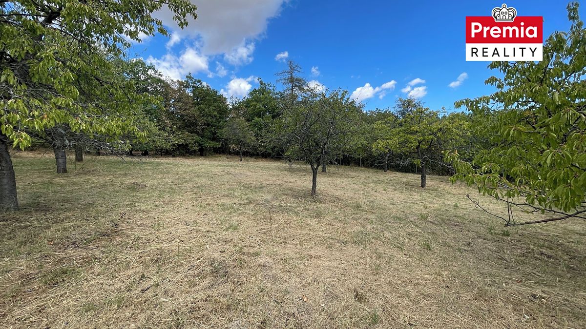 Prodej stavebního pozemku 1000 m² – fotografie 3