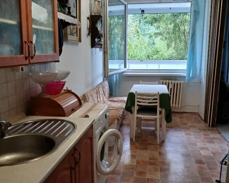 Pronájem bytu pokoje 22 m², Praha – náhled fotky 3