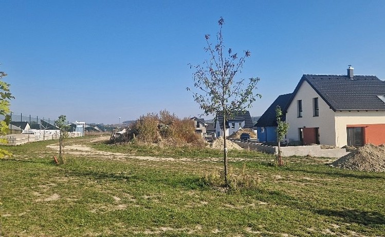 Prodej domu, 139 m² (3 z 11)