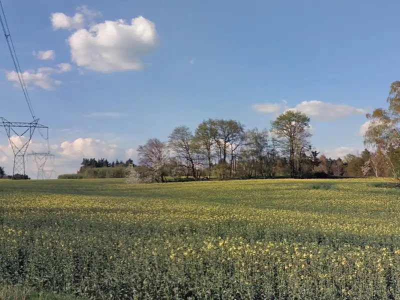 Prodej pole 110256 m², Úštěk – náhled fotky 2
