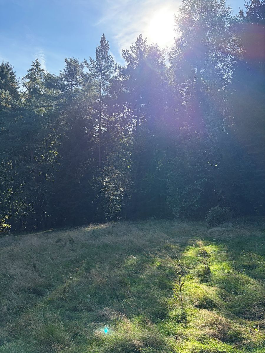 Pronájem zahrady 2057 m² – fotografie 2