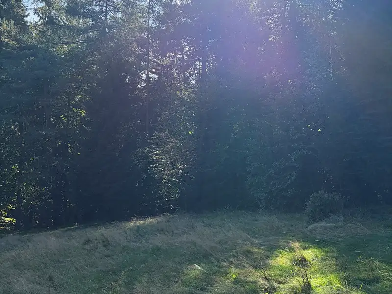 Pronájem zahrady 2057 m², Frýdštejn – náhled fotky 2