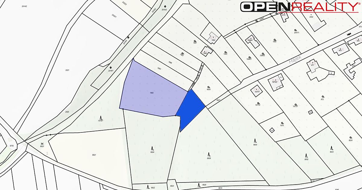 Prodej stavebního pozemku 3963 m² – fotografie 2