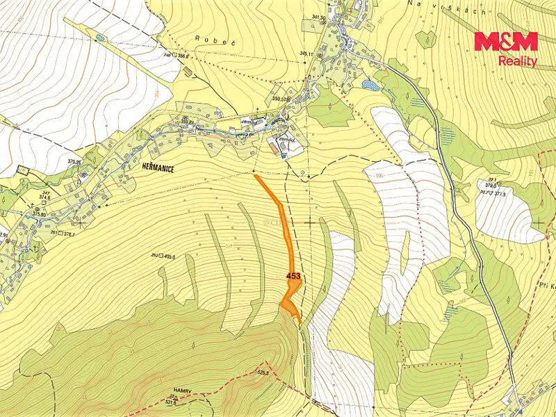 Prodej lesa 13099 m², Žandov – náhled fotky 3