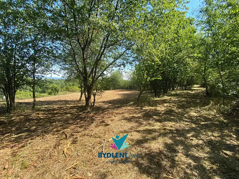 Prodej stavebního pozemku 1674 m², Chabařovice – náhled fotky 1