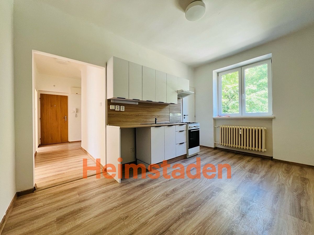 Pronájem bytu 2+1 59 m² – fotografie 4