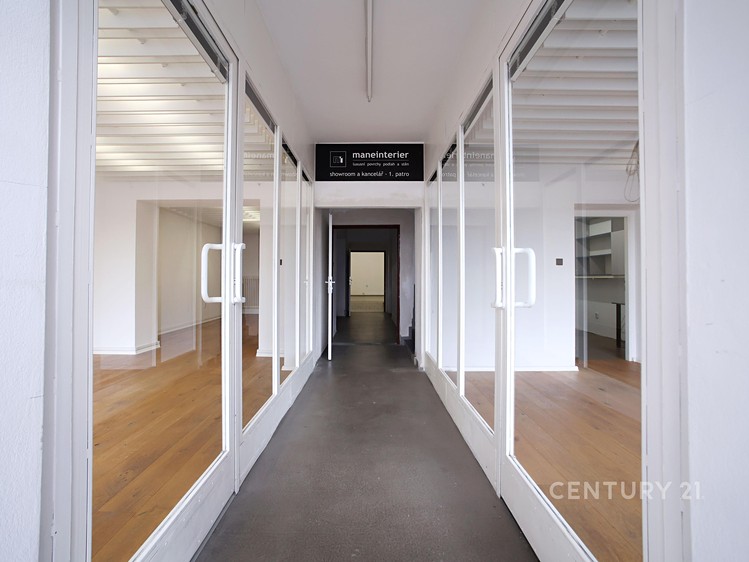 Pronájem komerčního prostoru, 132 m² (1 z 22)