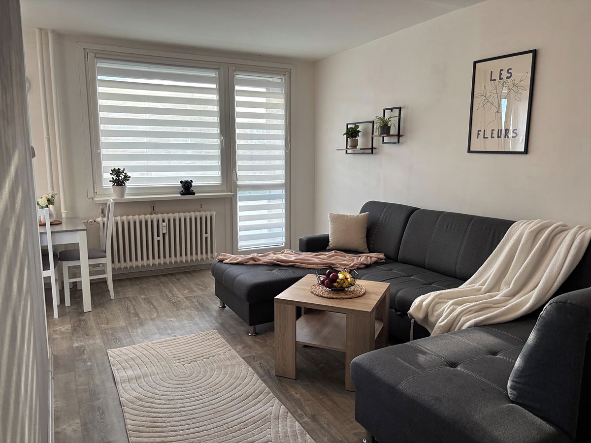Pronájem bytu 2+1 56 m²
