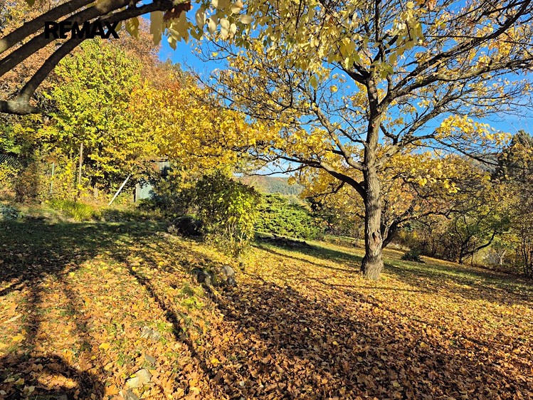 Grundstück zum Kauf, 823 m² (3 von 6)