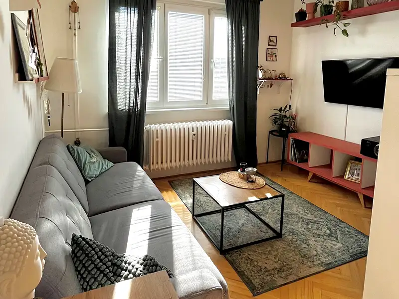 Prodej bytu 3+1 69 m², Brno – náhled fotky 2
