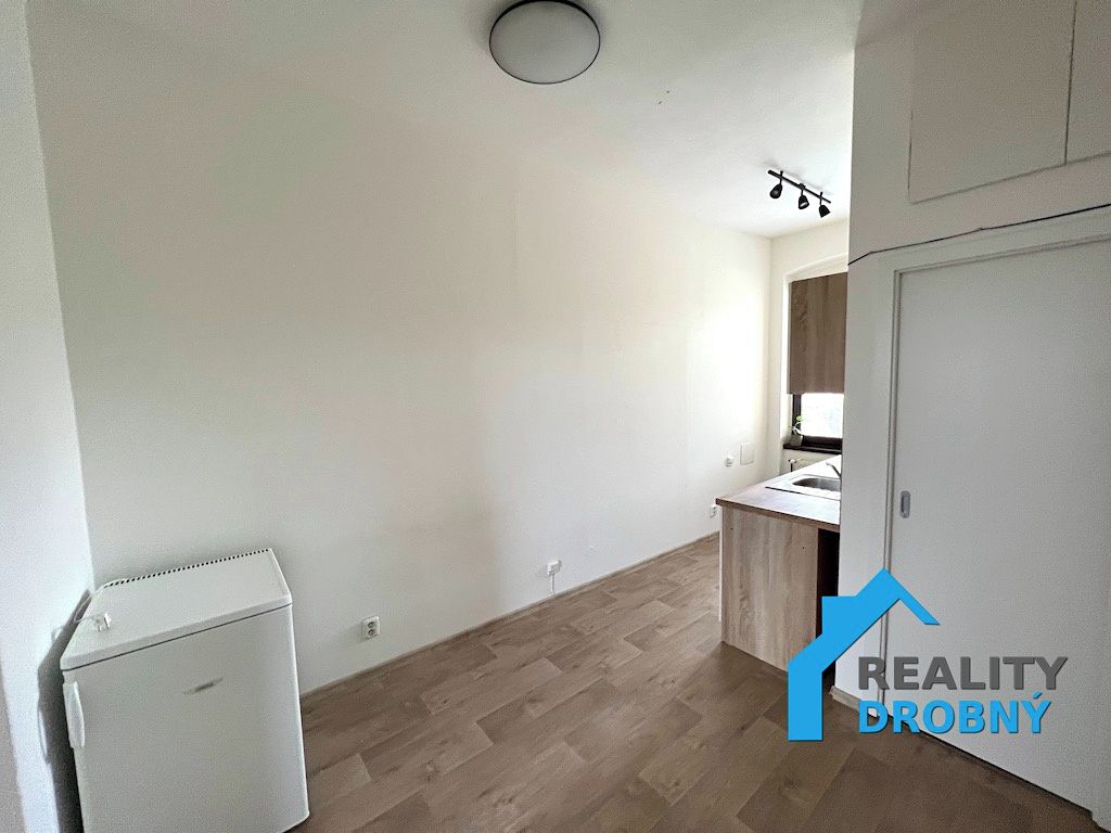 Pronájem bytu 1+1 36 m² – fotografie 4