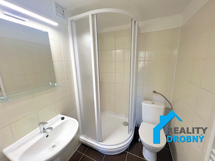 Pronájem bytu 1+kk, 20 m² (7 z 12)