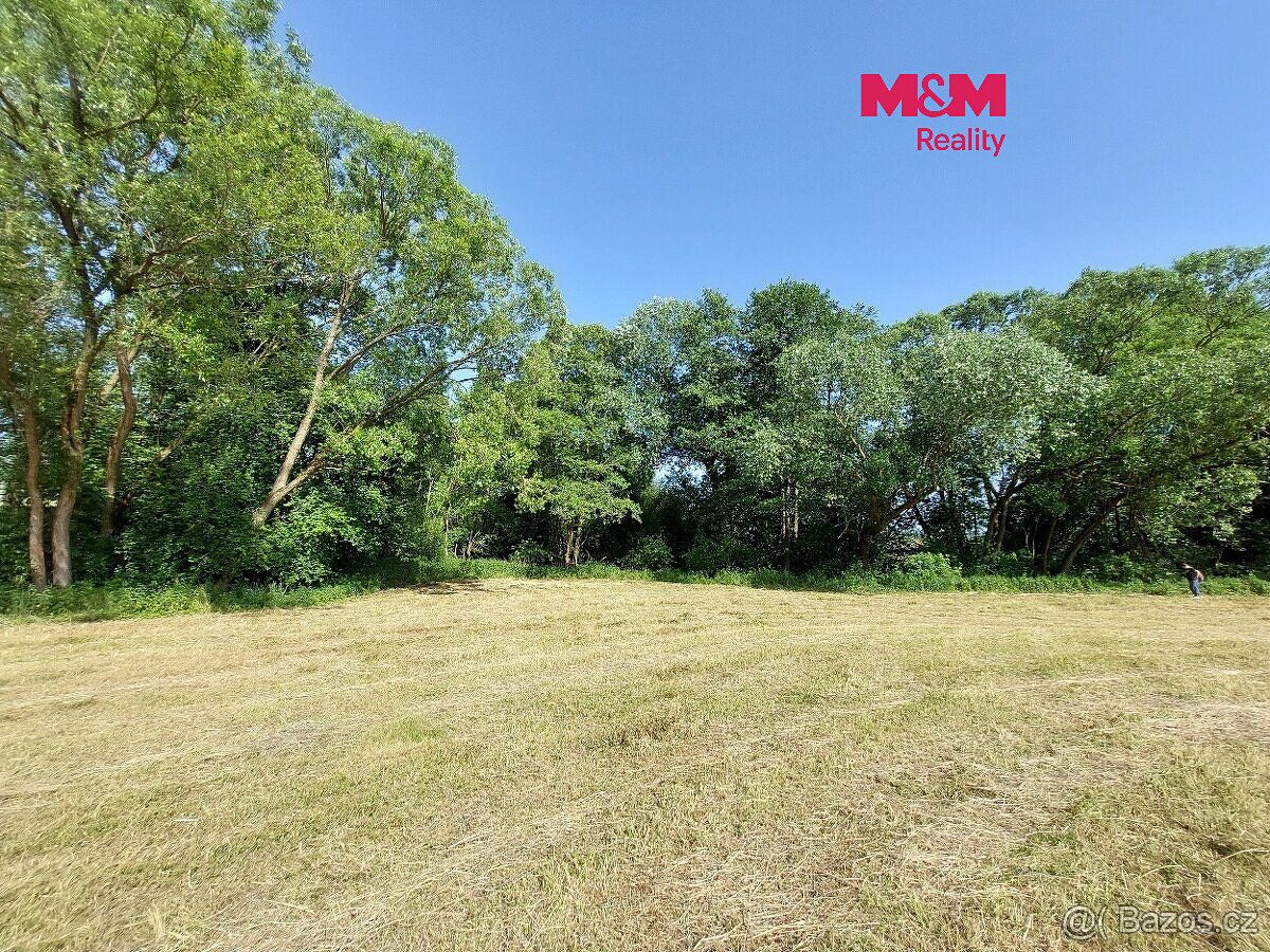 Prodej louky 237 m², Pravonín – fotka 1 z 3