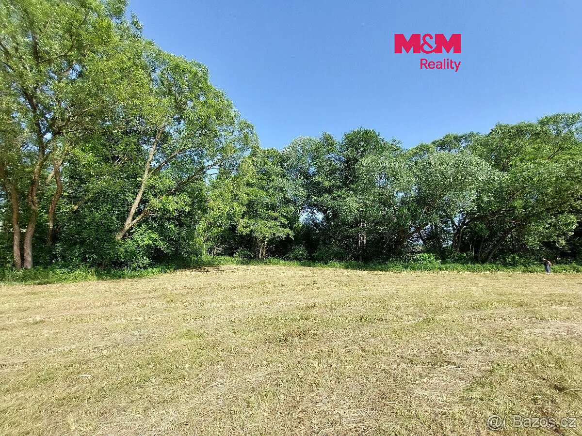 Prodej louky 237 m²
