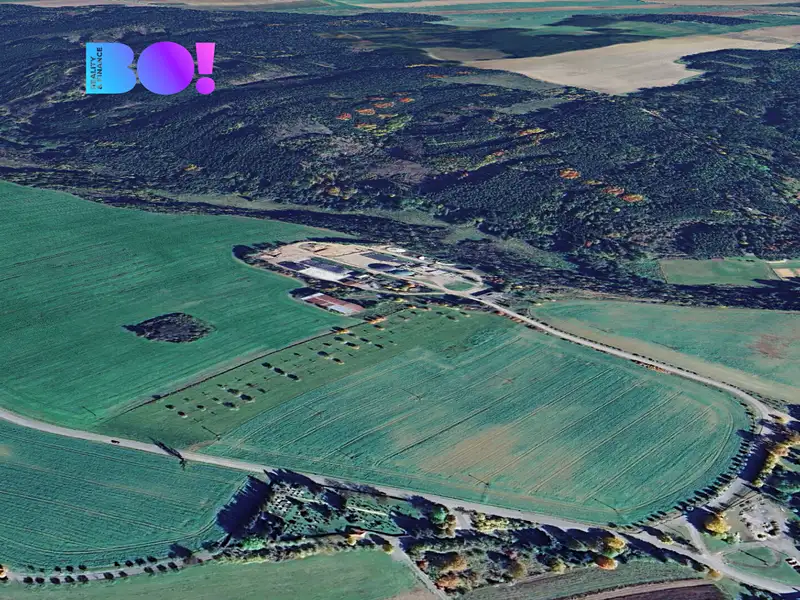 Prodej lesa 1625 m², Svojšín – náhled fotky 3