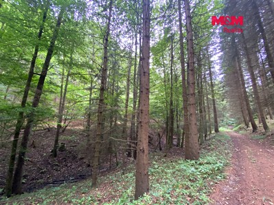 Ділянка на продаж, 2 261 м² (3 з 6)