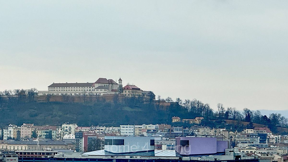 Pronájem kanceláře 18 m² – fotografie 3
