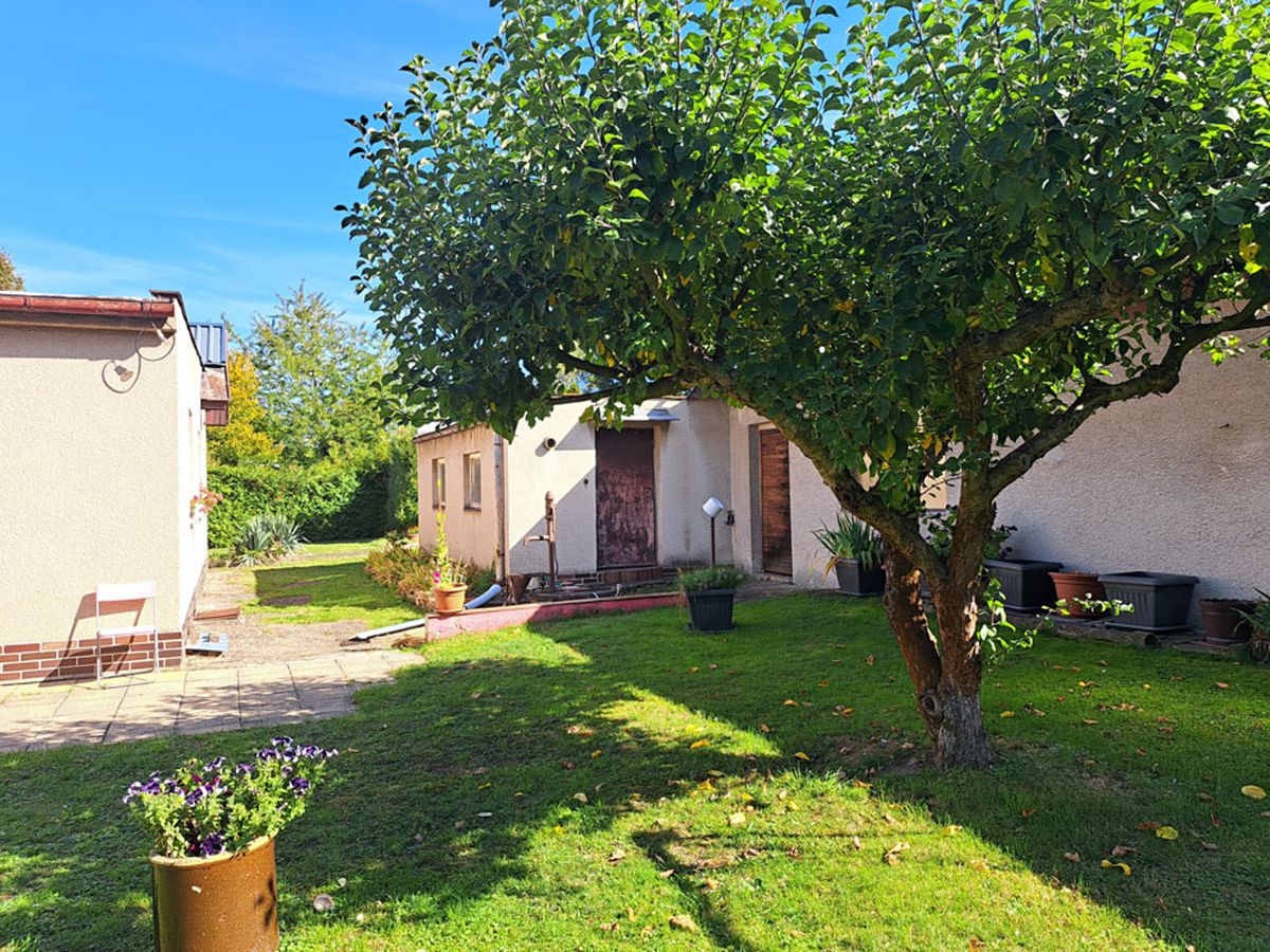 Prodej rodinného domu 110 m², pozemek 1314 m² – fotografie 5