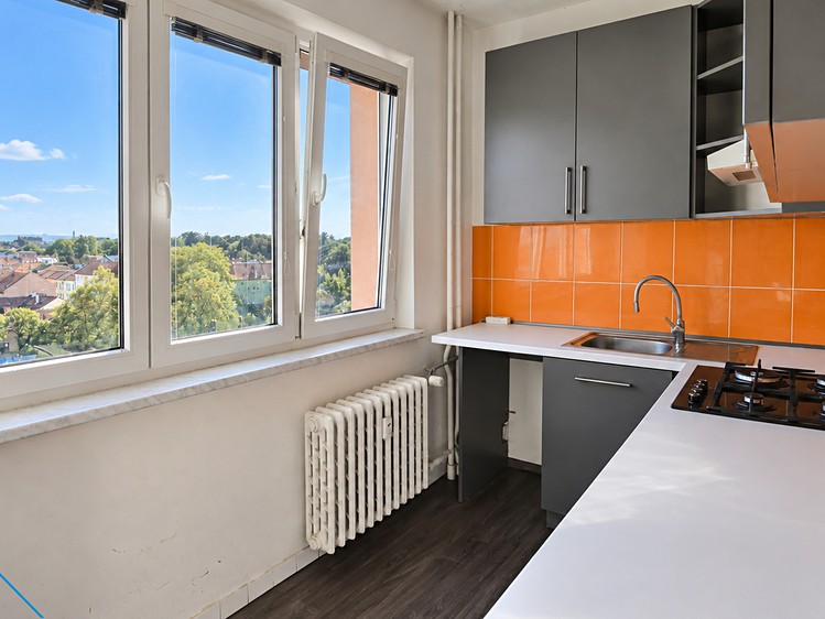 Prodej bytu 3+1, 55 m² (1 z 19)
