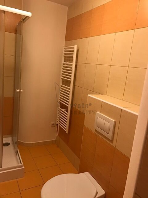 Pronájem bytu 1+kk 32 m² – fotografie 5