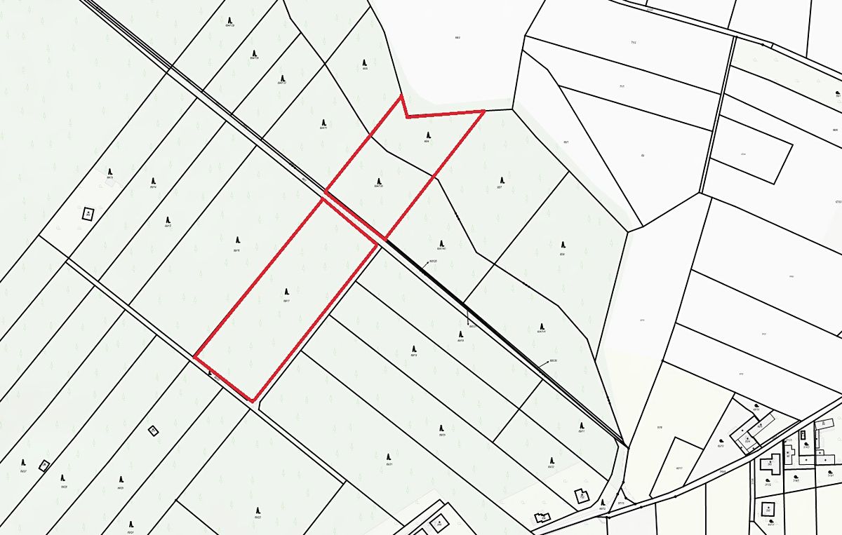 Prodej lesa 15479 m² – fotografie 4